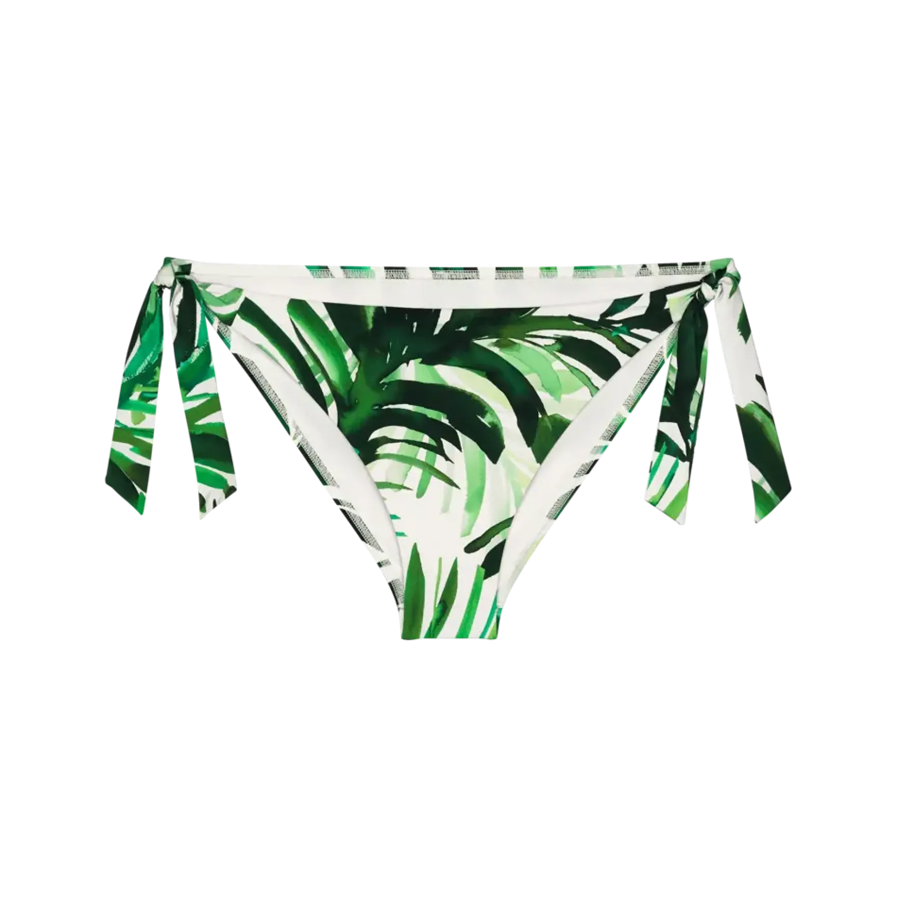 SUMMER PALM